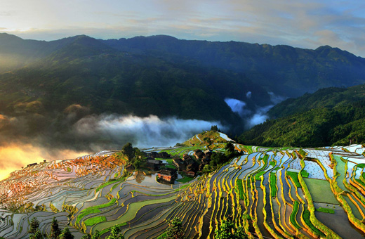 贵州吉态食品有限公司
